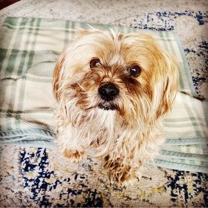 Meet your Posher, Cj